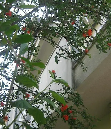 Grzunov Appartamento *