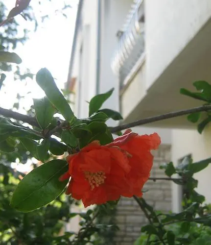 Grzunov