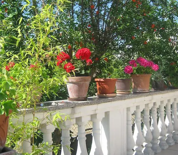 Grzunov Lejlighed *
