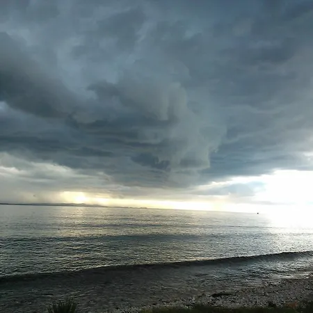 Grzunov * Zadar
