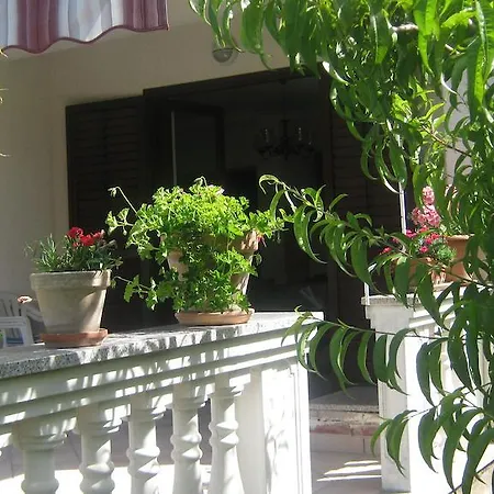 Apartment Grzunov *