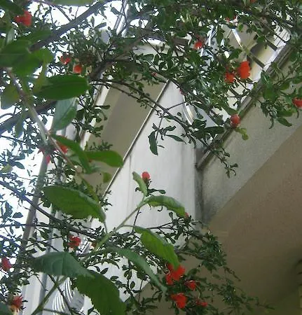Grzunov Apartment *