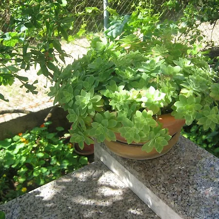 Grzunov Appartement Zadar