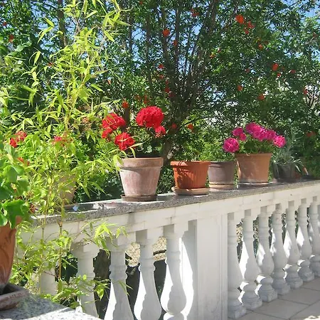 Grzunov Apartment *