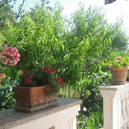 Apartment Grzunov *