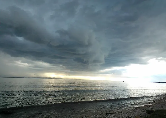 Grzunov * زادار