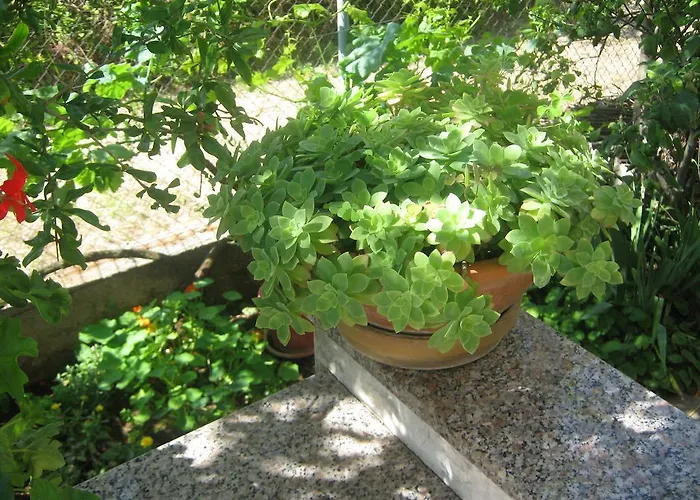 Grzunov شقة زادار